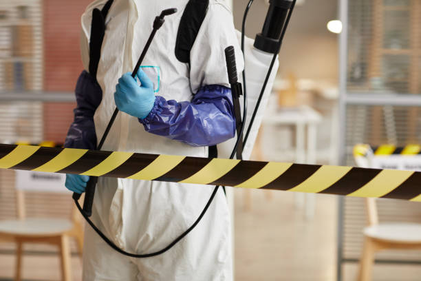 Professional Sewage Cleanup technician working in Franklin Lakes, NJ
